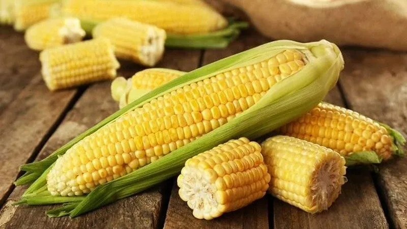 Nằm mơ thấy trái bắp đánh số gì? Mơ thấy mình đang ăn bắp luộc 