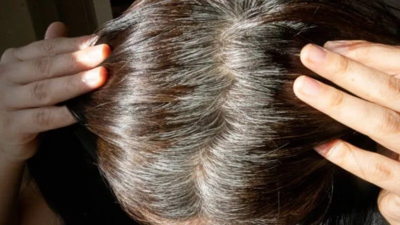 Nằm mơ thấy tóc bạc đánh số gì để trúng lớn