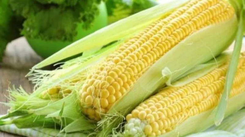 Nằm mơ thấy trái bắp đánh số gì? Nằm mơ thấy trái bắp báo hiệu điều may mắn